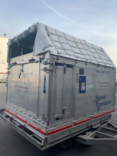 Безопасная транспортировка лошадей в новых условиях от авиакомпании AirBridgeCargo