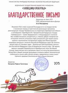 Volga-Dnepr Group Flies Rare Przewalski Horses for Reintroduction Project in Ural Steppes