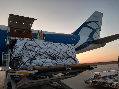 Авиакомпания AirBridgeCargo доставила 500 000 ампул с человеческим альбумином