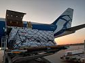 Авиакомпания AirBridgeCargo доставила 500 000 ампул с человеческим альбумином