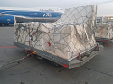 Авиакомпания AirBridgeCargo доставила экспонаты на совместную выставку Музеев Московского Кремля и Гонконгского музея культурного наследия
