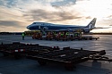 Авиакомпания «ЭйрБриджКарго» и компания Intradco Global организовали доставку племенных коров в Южно-Сахалинск  